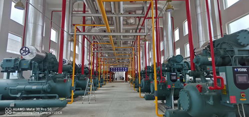 新時期中國物流冷庫項目 庫體保溫 制冷系統設計與設備選擇