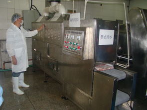 豬肉微波解凍設(shè)備 肉制品微波解凍機(jī)