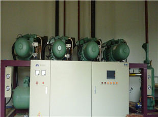 河南冷庫安裝_化工機械設(shè)備_制冷設(shè)備_其它_產(chǎn)品庫_中國化工儀器網(wǎng)